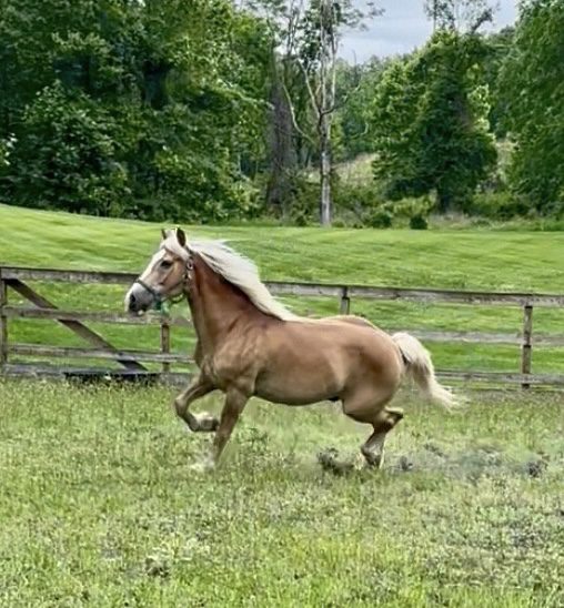 original-210D5995-B19E-470C-8152-F8E4AD66B82F