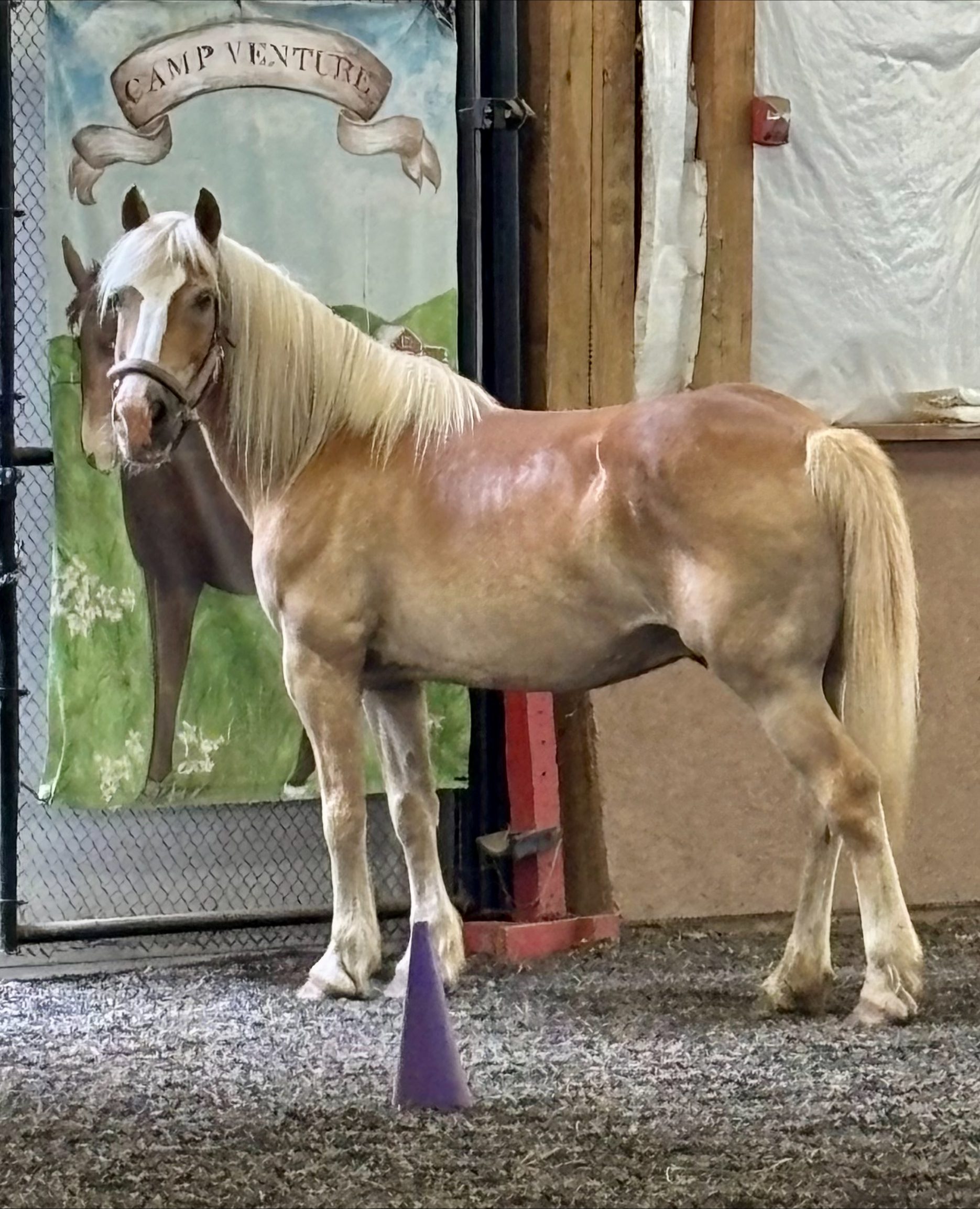 processed-24B76AAC-82B0-46C6-8DC0-47EE9B3BD64E-55BE4360-9C00-4DFD-9262-864A06462B20