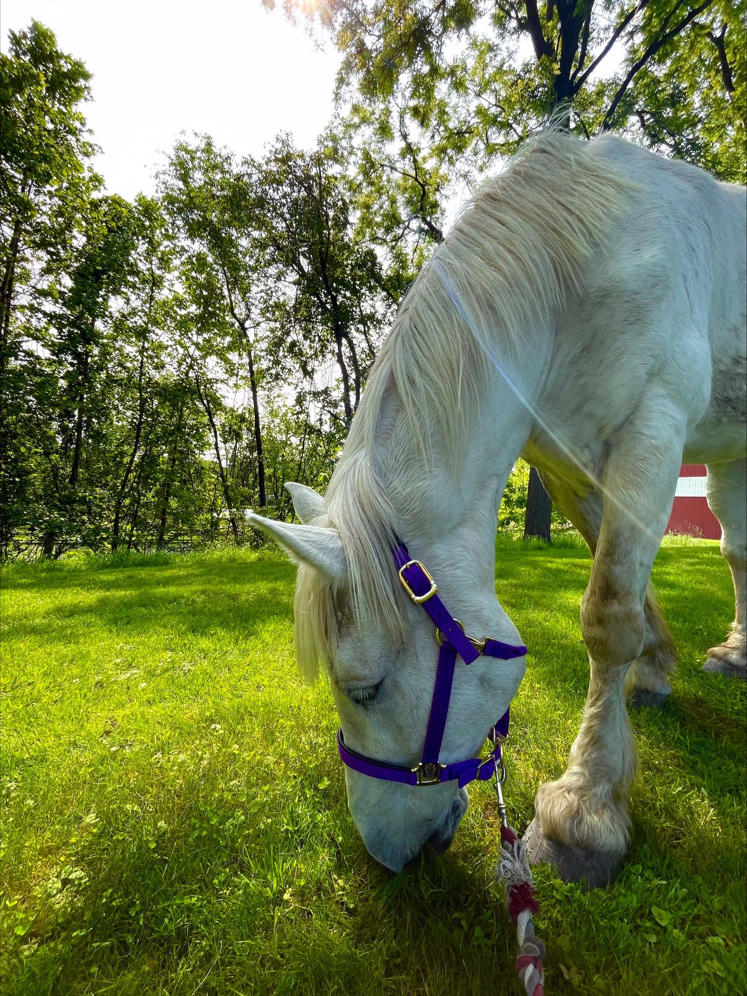 processed-357ABEA6-3502-4643-A052-BF8061398DBD-B94BE2E0-8B01-46D9-8E5A-C5B355940D84