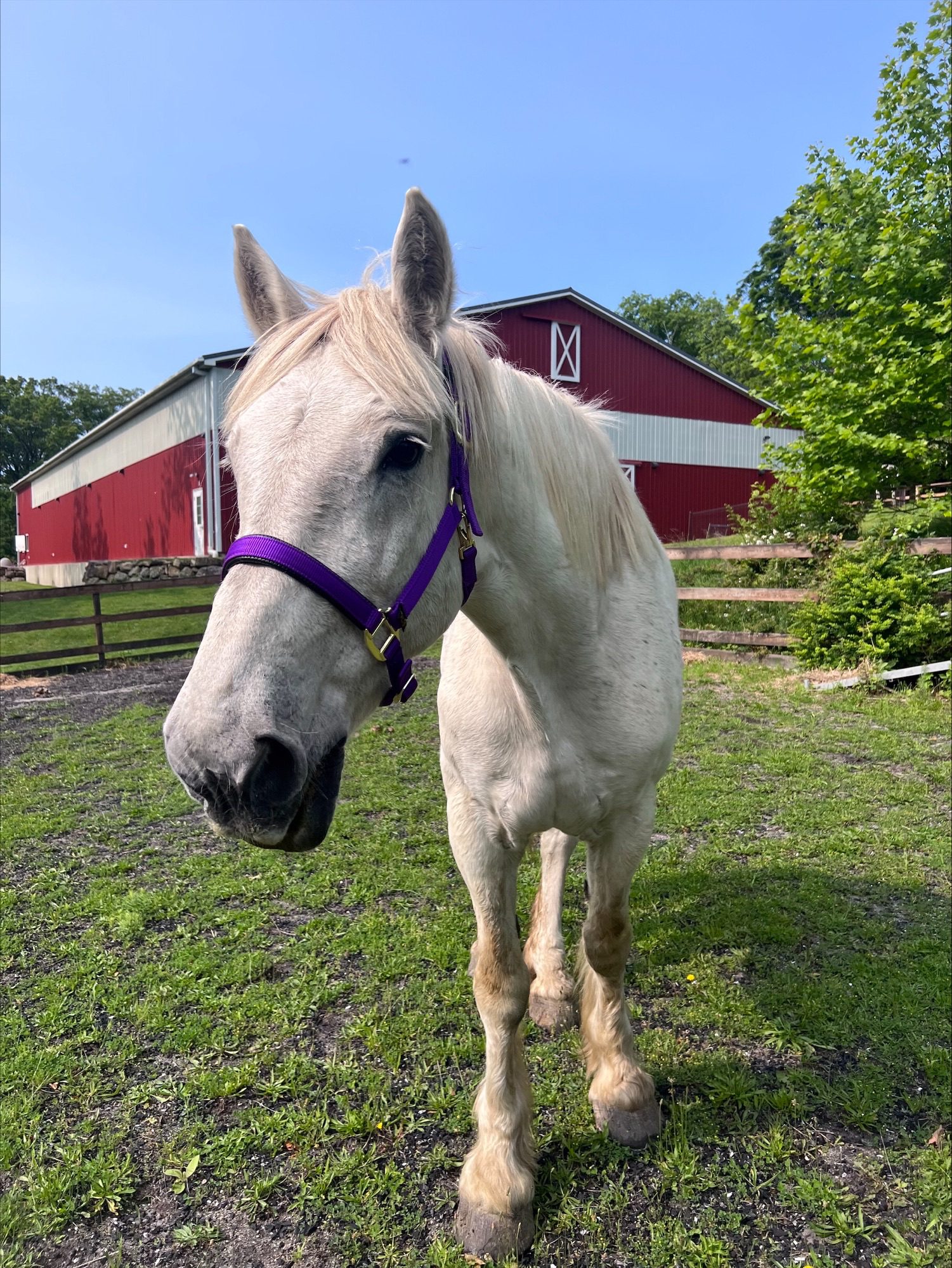 processed-842746C3-322E-42A4-B295-40BB825685CD-C6D9CE15-15AD-407E-88DD-F0548B7633EF