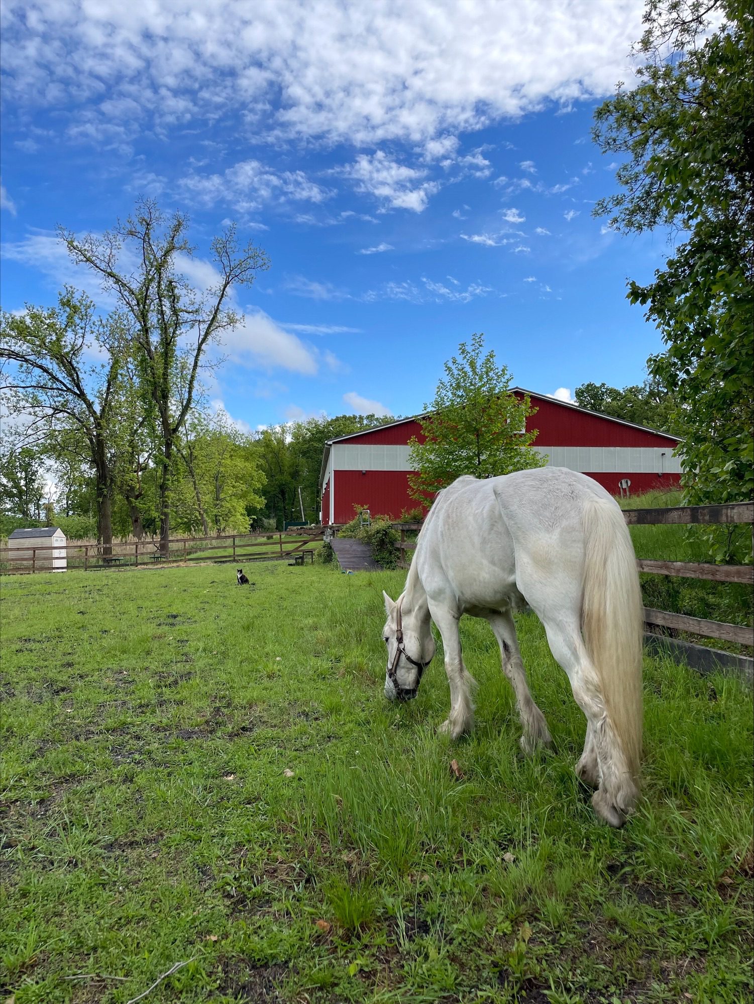 processed-91D47AAC-654D-4651-9AC8-8F59C7F7B9AE-29BF0D36-6E15-4557-8FF8-773B3DA07B9B